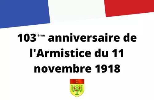 103ème anniversaire de l'Armistice du 11 novembre 1918