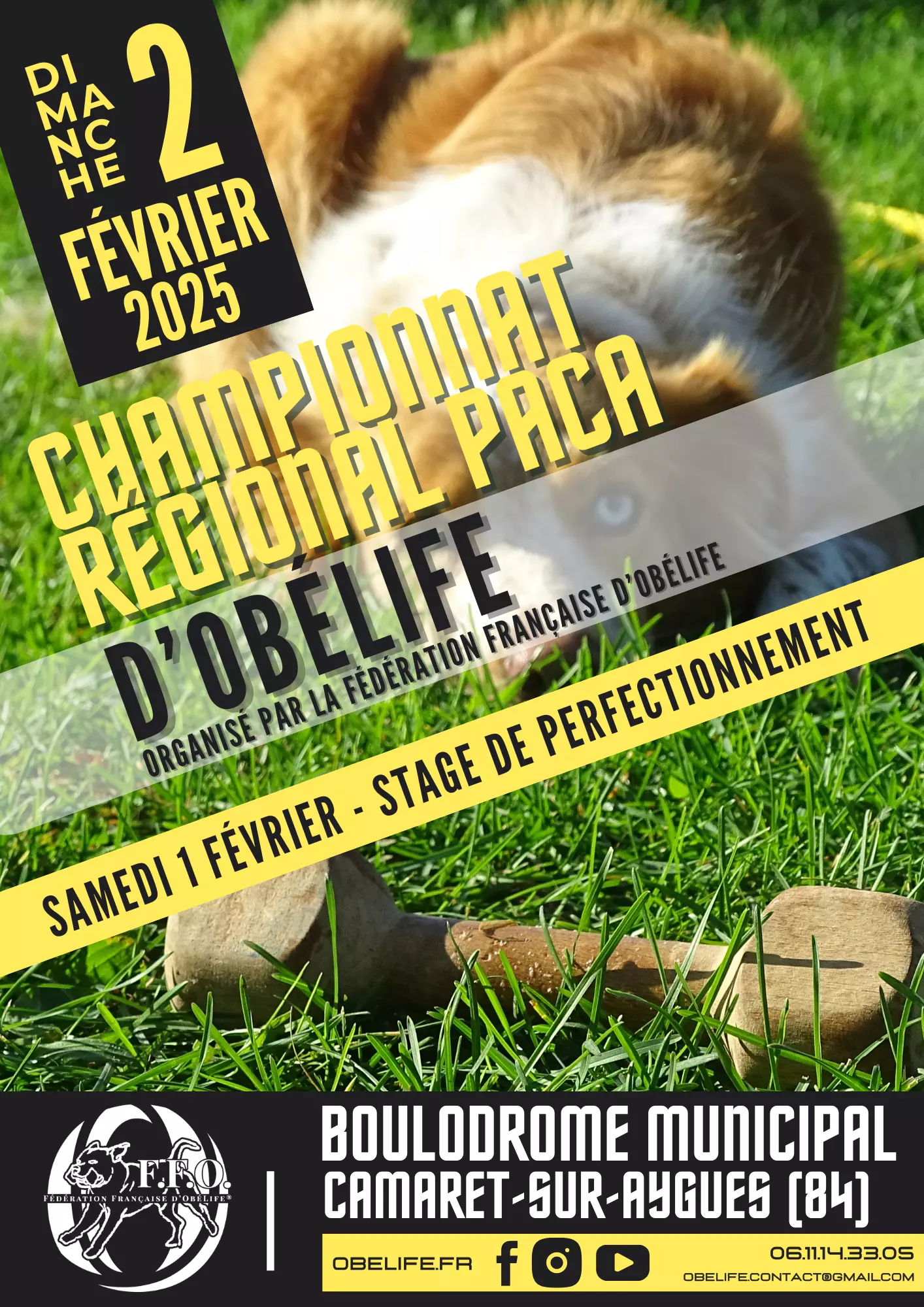 Championnat Régional PACA et stage de perfectionnement d'ObéLife le samedi 1er et dimanche 2 février 2025 au boulodrome de Camaret