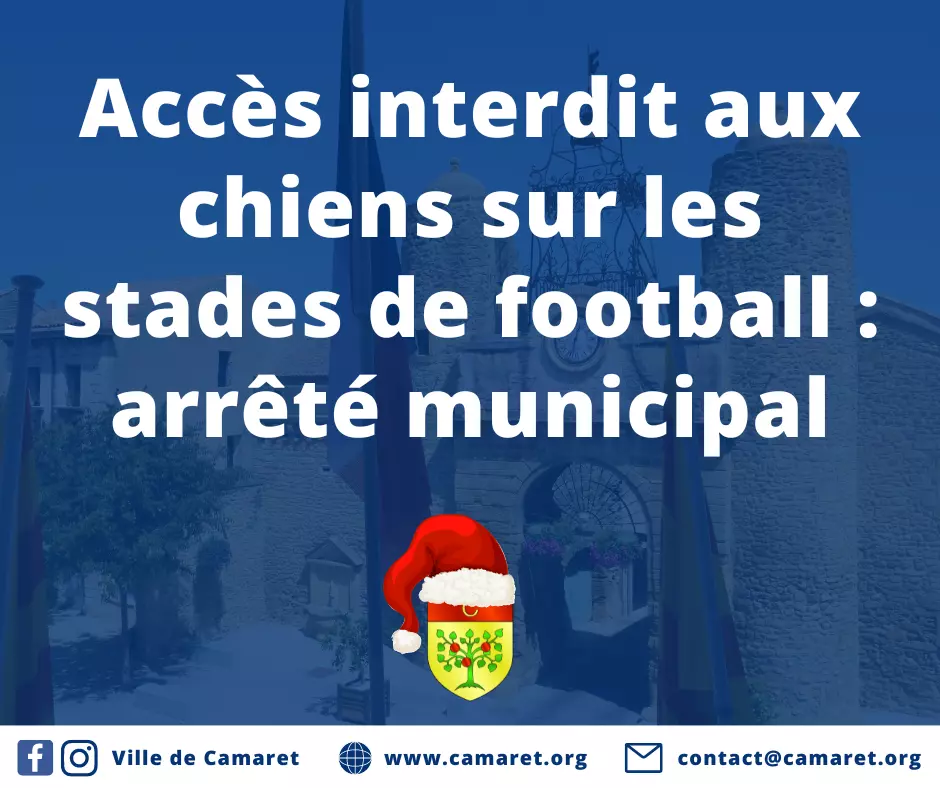 Accès interdit aux chiens sur les stades de football : arrêté municipal