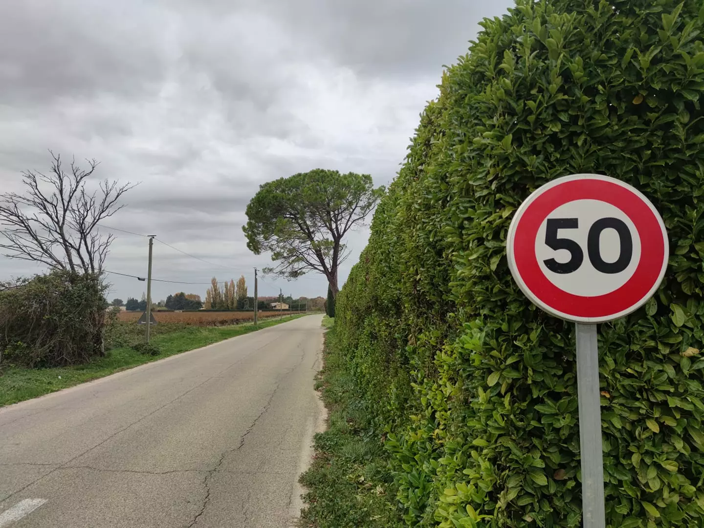 Avenue Louis Pasteur : modification de la limitation de vitesse