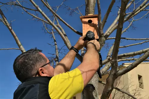 Installation de nichoirs et de mangeoires