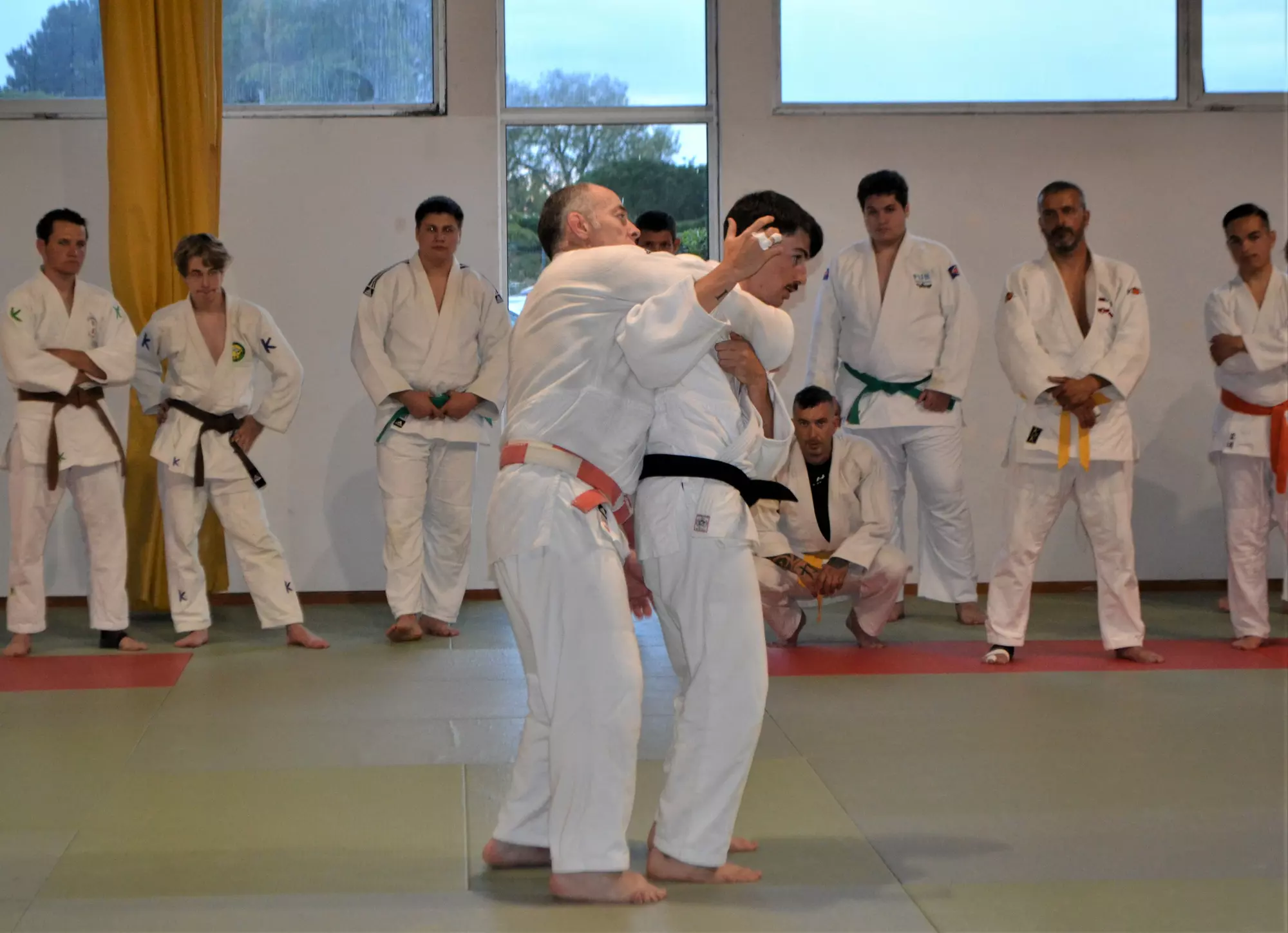 Entrainement de judo avec Frédéric Demontfaucon