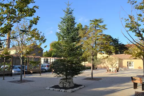 Venez décorer nos sapins de Noël !