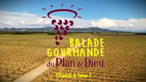 13ème Balade Gourmande du Plan de Dieu