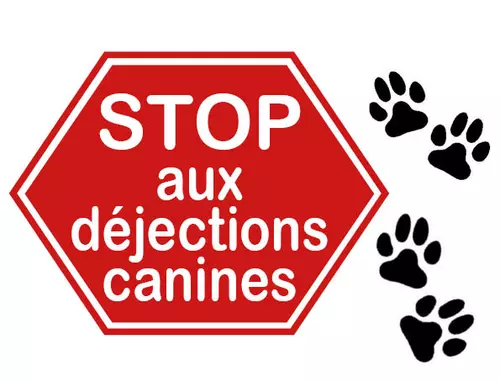 Stop aux déjections canines !