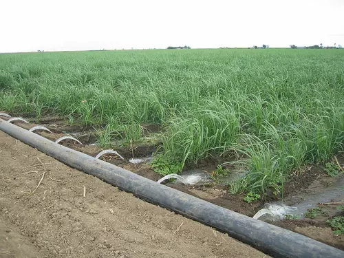 IRRIGATION AGRICOLE: RÉUNION PUBLIQUE D'INFORMATION