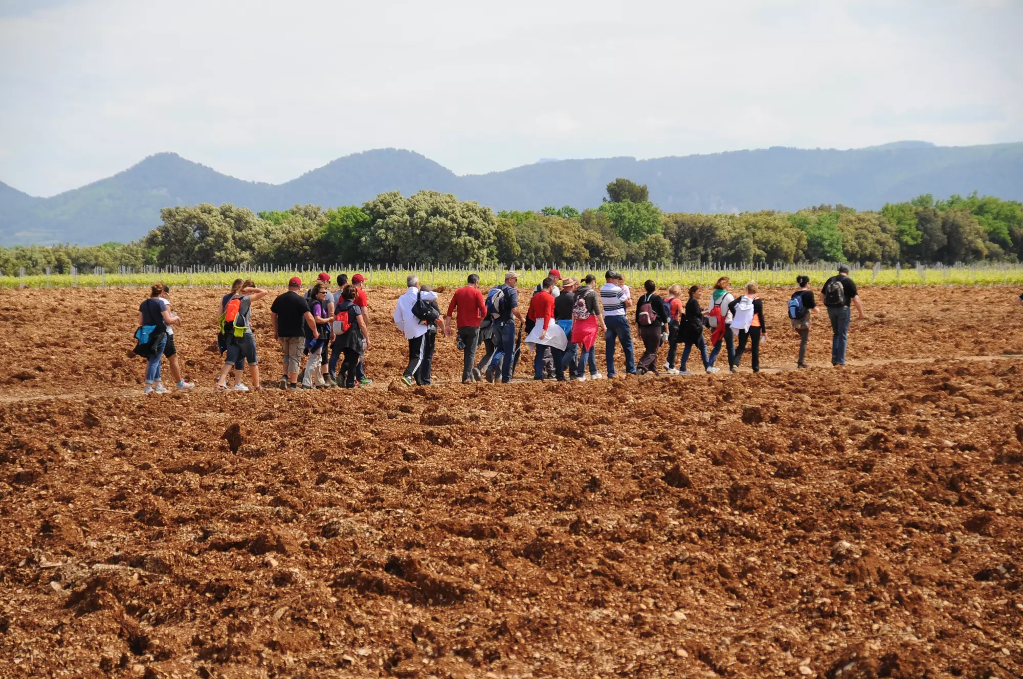 Balade gourmande du Plan de Dieu : le reportage photo complet.