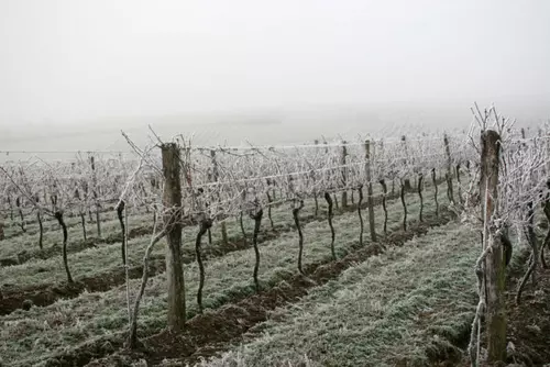 Gel des terres agricoles