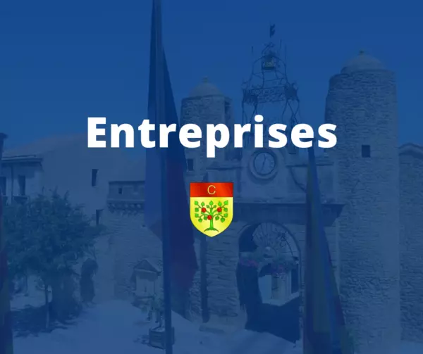 Entreprise Viau