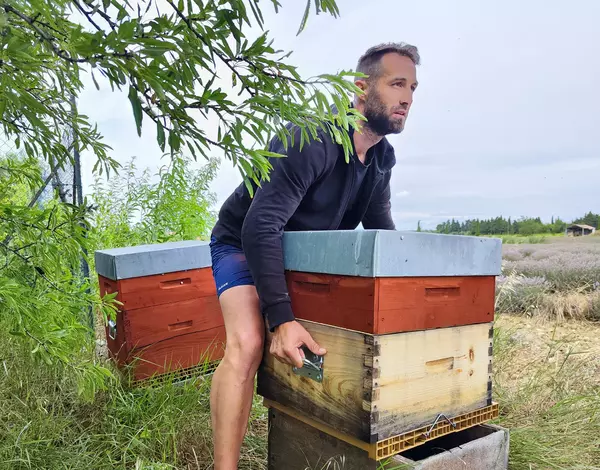 Apiculteur Loïc Ravaute