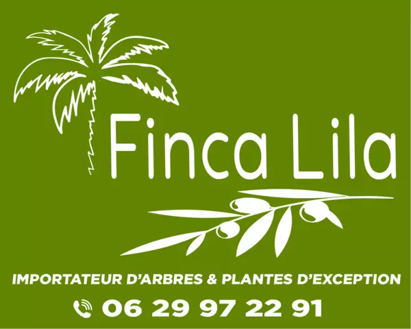 Finca Lila